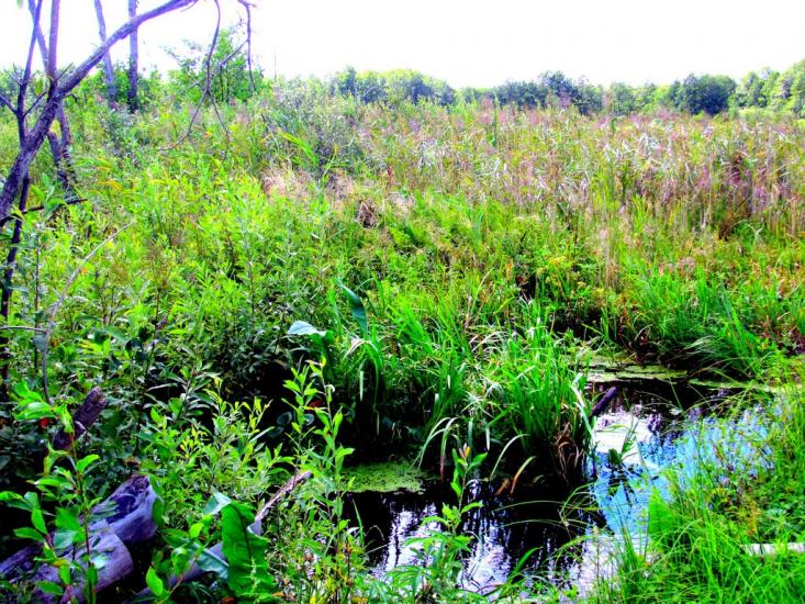 Рудка з panoramio.com - Рудка