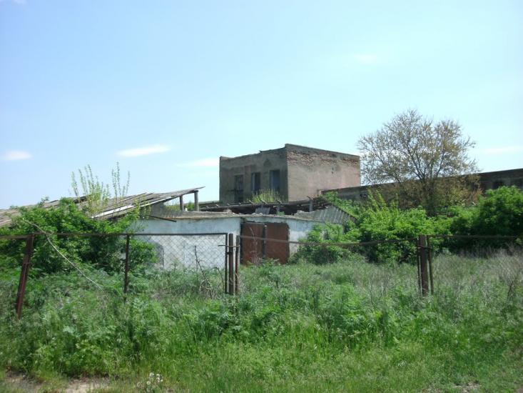 Петрівське з panoramio.com - Петрівське