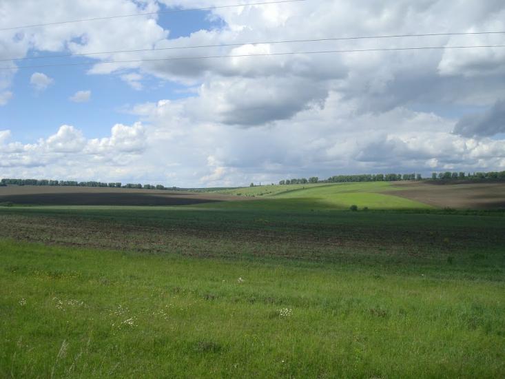 Нове Село з panoramio.com - Новое Село