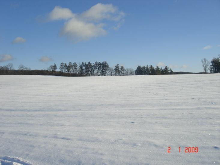 Мліїв з panoramio.com - Млиев