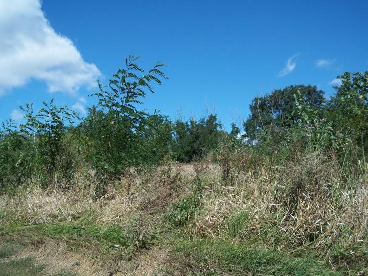 Леніна Друге з panoramio.com - Ленина Второе