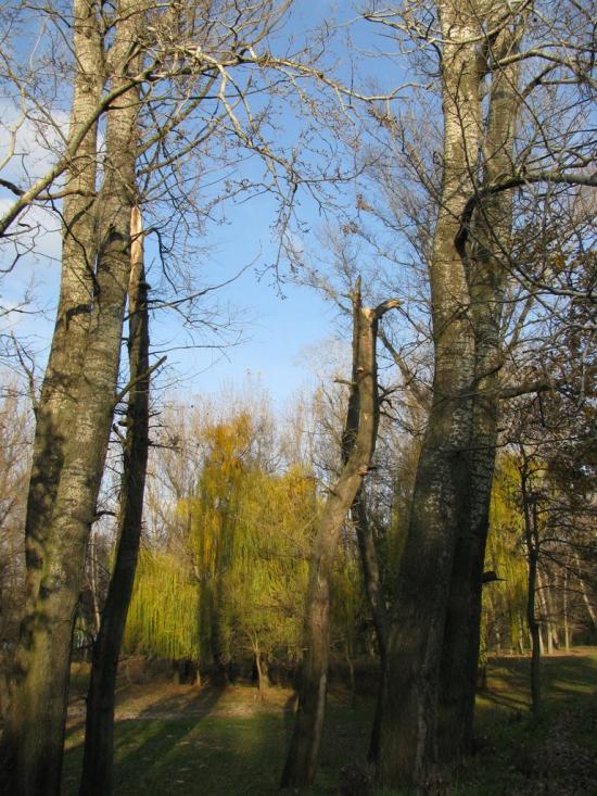 Малокаховка з panoramio.com - Малокаховка