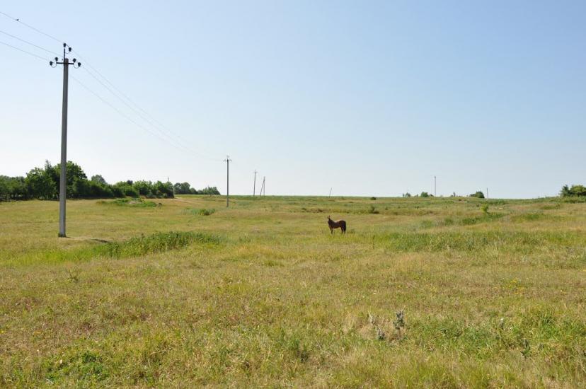 Шарапанівка з panoramio.com - Шарапанівка