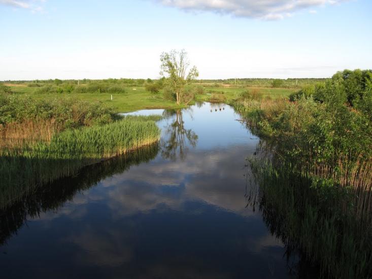 Турійськ з panoramio.com - Турийск
