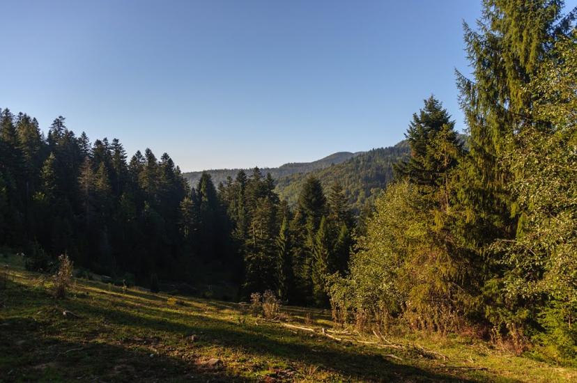 Ужок з panoramio.com - Uzhok