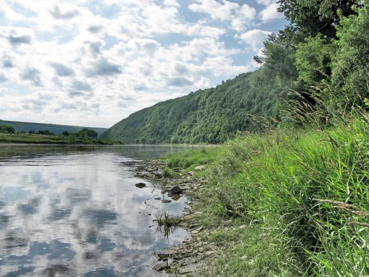 Іване-Золоте з panoramio.com - Иване-Золотое
