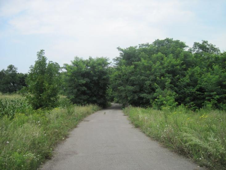 Павлиш з panoramio.com - Павлыш