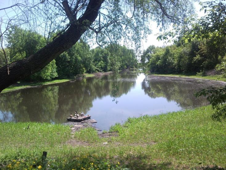 Кошари з panoramio.com - Кошари