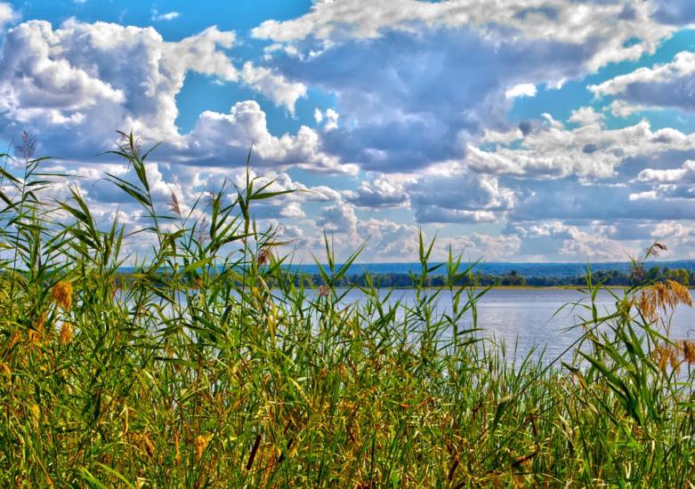 Хотімля з panoramio.com - Хотимля