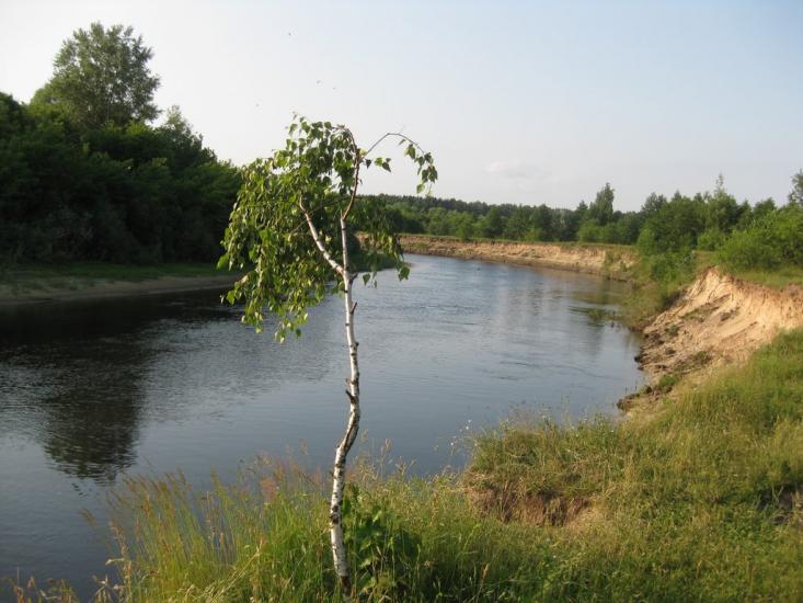 Клочків з panoramio.com - Клочків