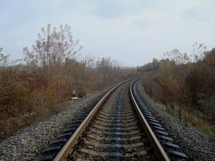 Вільхівчик з panoramio.com - Ольховчик