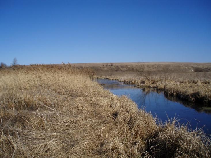 Рогізне з panoramio.com - Рогозное