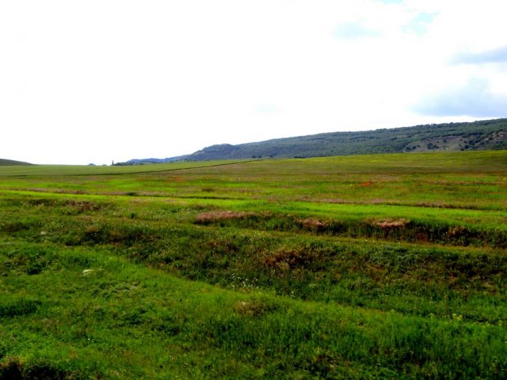 Холмівка з panoramio.com - Холмовка