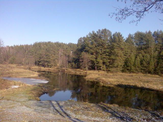Березневе з panoramio.com - Березневе