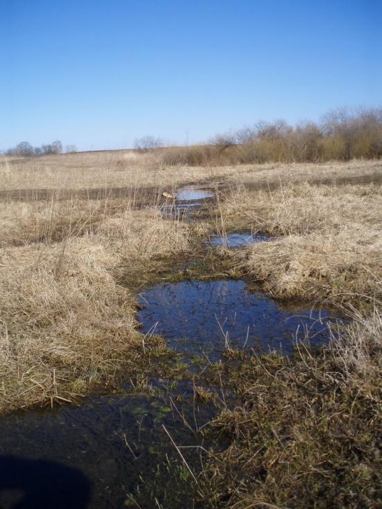 Рогізне з panoramio.com - Рогозное