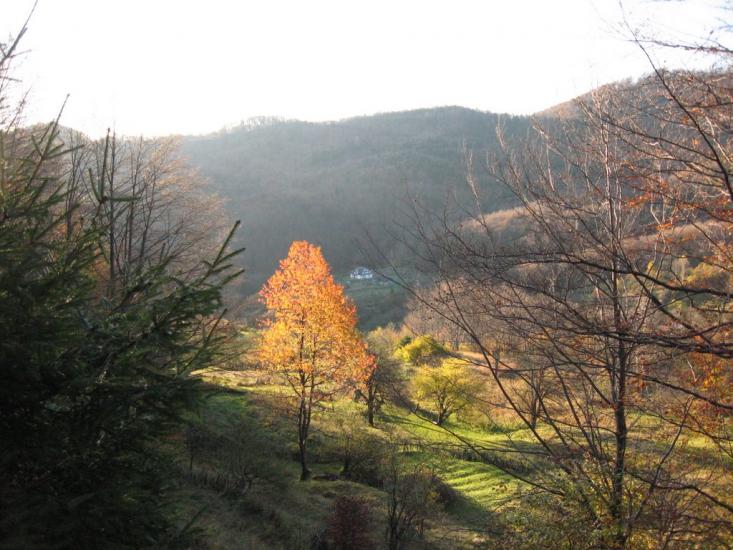 Пасічна з panoramio.com - Пасечная