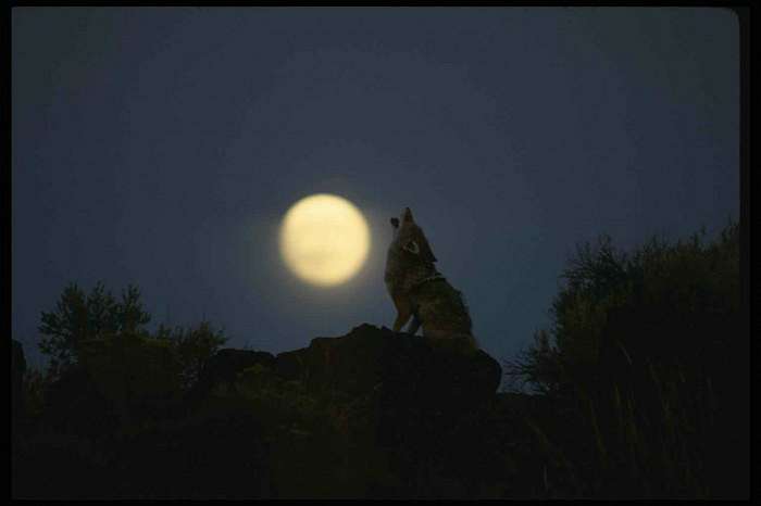 природа Біловарців - Біловарці