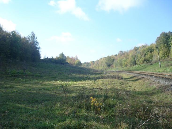 Велика Калинівка з panoramio.com - Велика Калинівка