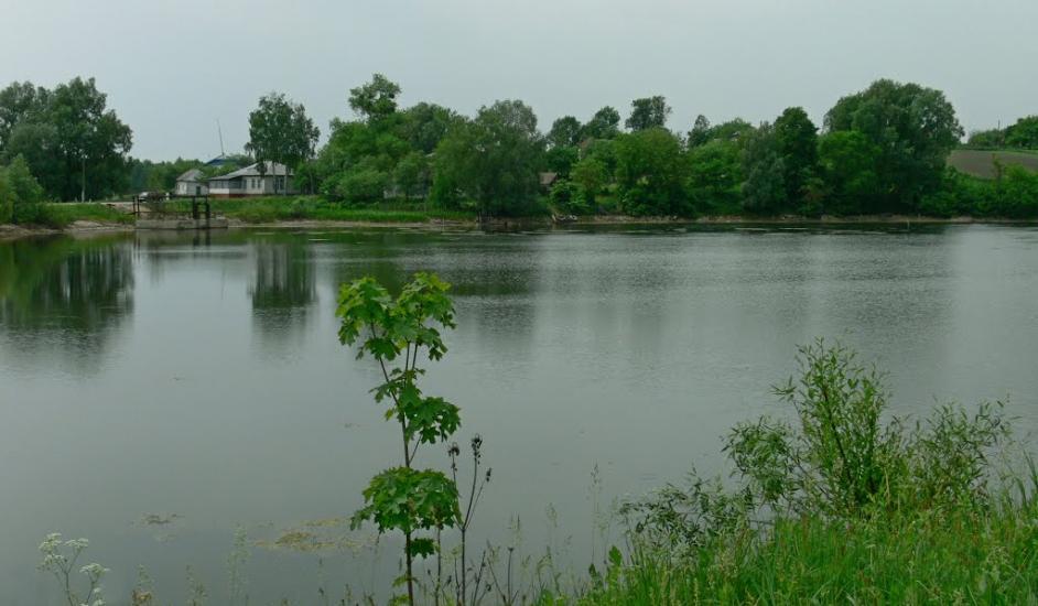 Будище з panoramio.com - Будище