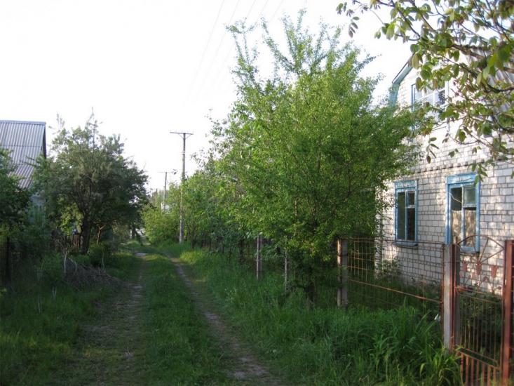 Морозівка з panoramio.com - Морозівка