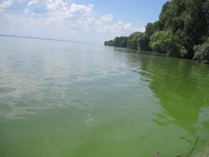 Недогарки з panoramio.com - Nedogarky