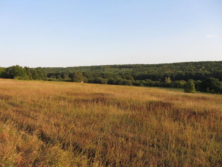 Попівка з panoramio.com - Поповка