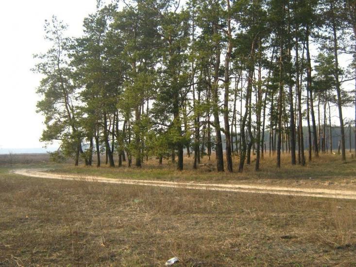 Велика Димерка з panoramio.com - Велика Димерка