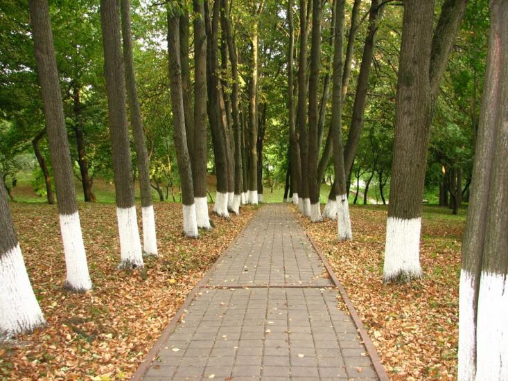 Сковородинівка з panoramio.com - Сковородинівка