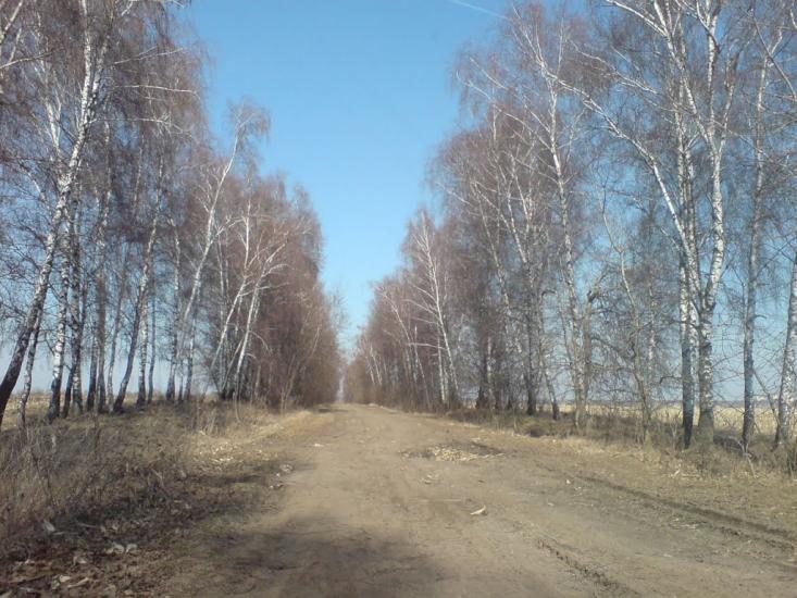 Нестерівці з panoramio.com - Нестерівці