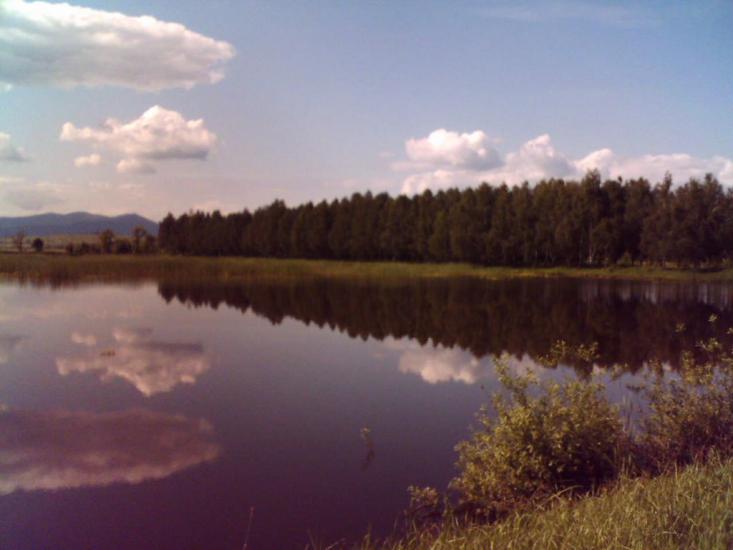 Боронява з panoramio.com - Боронява
