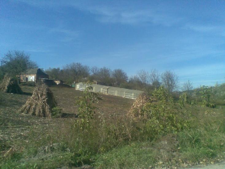 Лисогірка з panoramio.com - Лысогорка