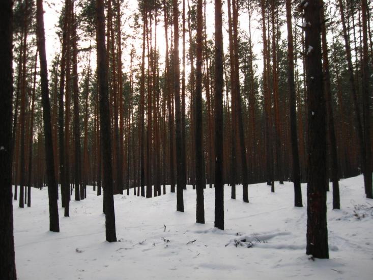 Букине з panoramio.com - Bukyne