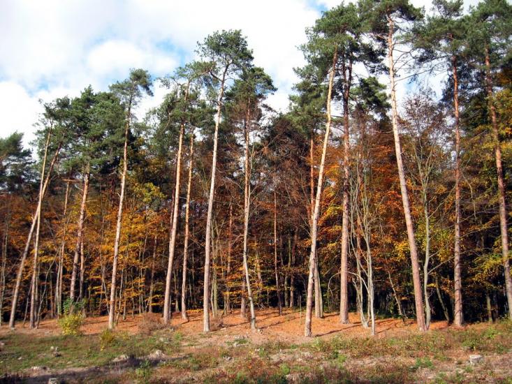 Страдч з panoramio.com - Страдч