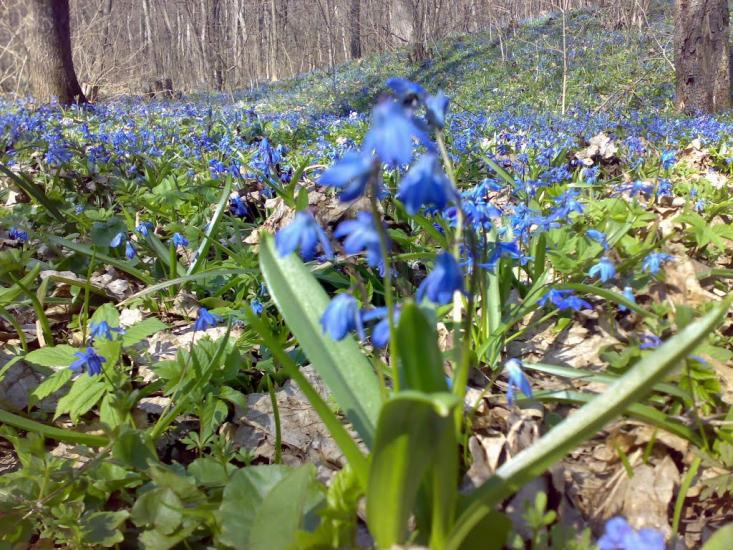 Перевіз з panoramio.com - Перевіз