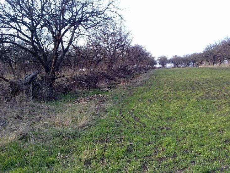 Будилів з panoramio.com - Будилів