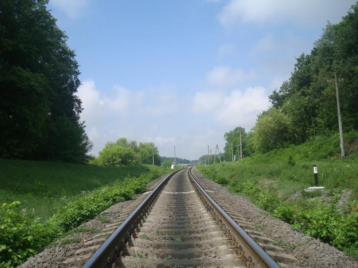 Нестерівці з panoramio.com - Нестерівці