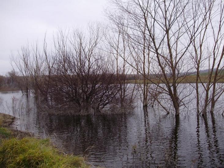 Підлісне з panoramio.com - Pidlisne