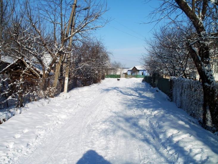 Дубівці з panoramio.com - Дубовцы