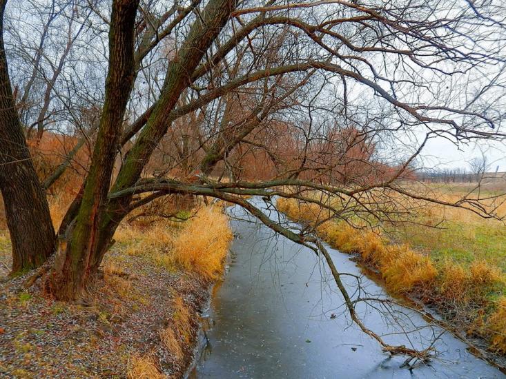 Булавинське з panoramio.com - Булавинське