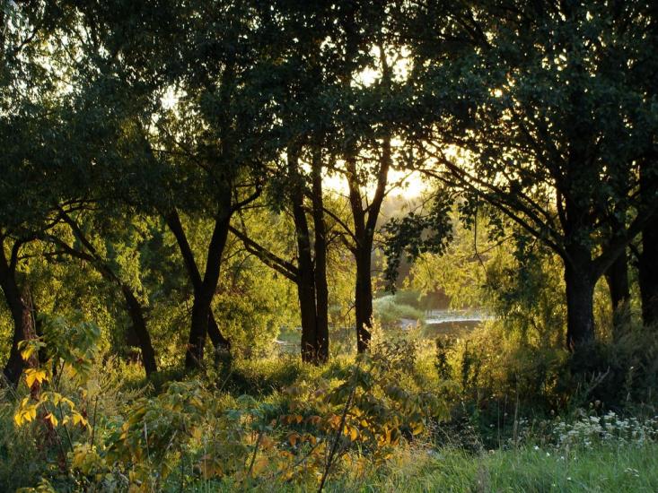 Шкарівка з panoramio.com - Шкаровка