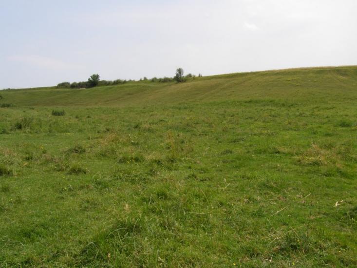 Пінчуки з panoramio.com - Пинчуки
