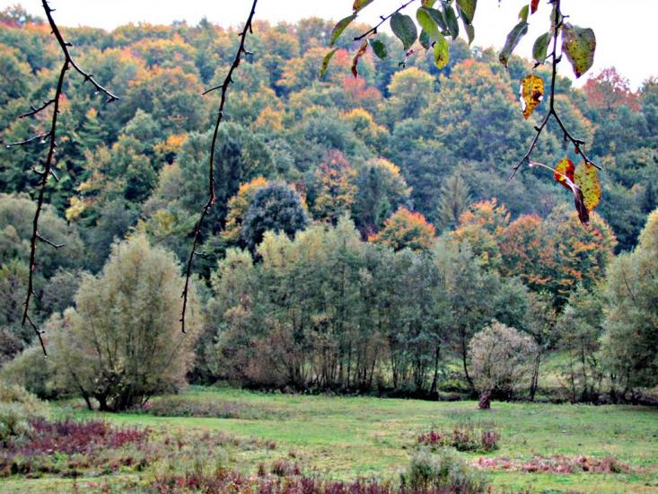 Кибаки з panoramio.com - Кибаки