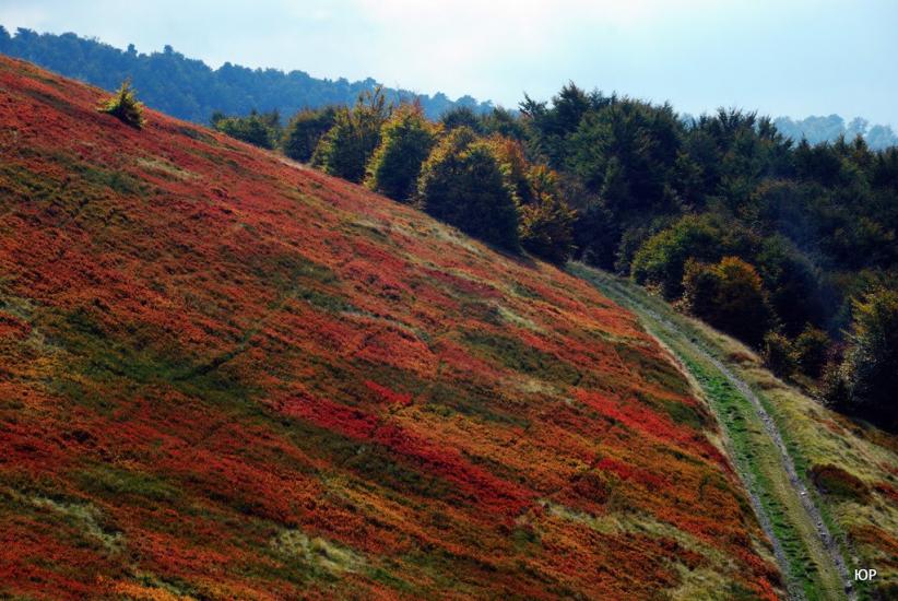 Сопки з panoramio.com - Сопки