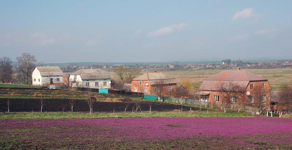 Голдовичі з panoramio.com - Голдовичі