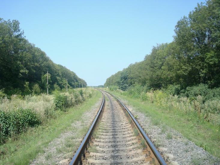 Тарасівка з panoramio.com - Тарасовка