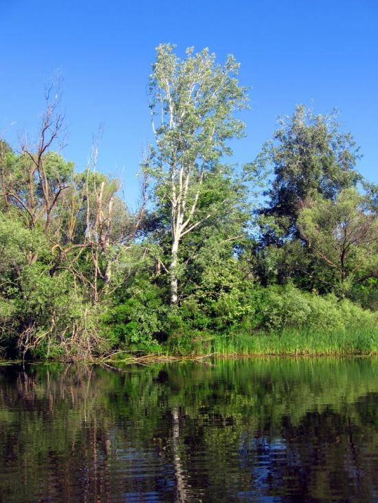 Чикалівка з panoramio.com - Чикаловка