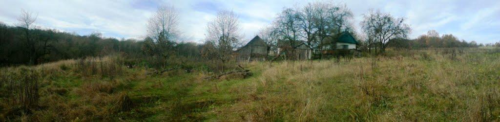 Перевозець з panoramio.com - Перевозець