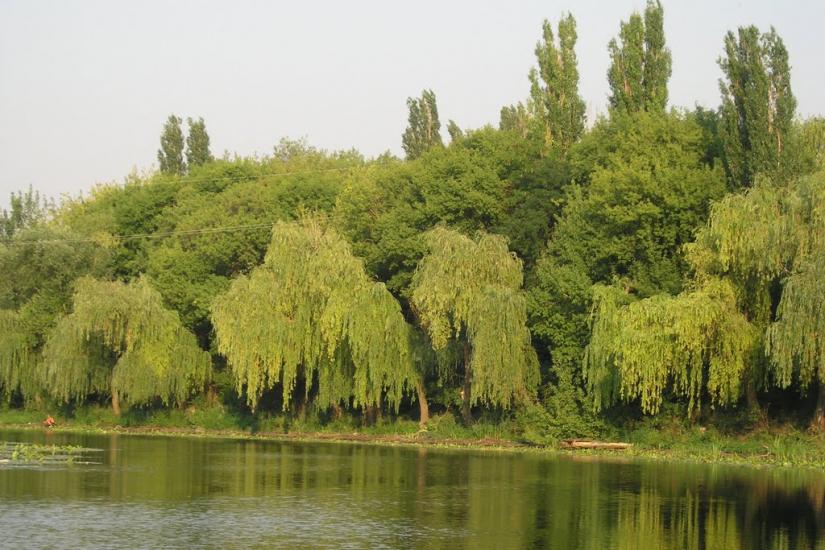 Новоархангельськ з panoramio.com - Новоархангельськ