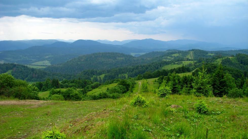 Неліпино з panoramio.com - Неліпино