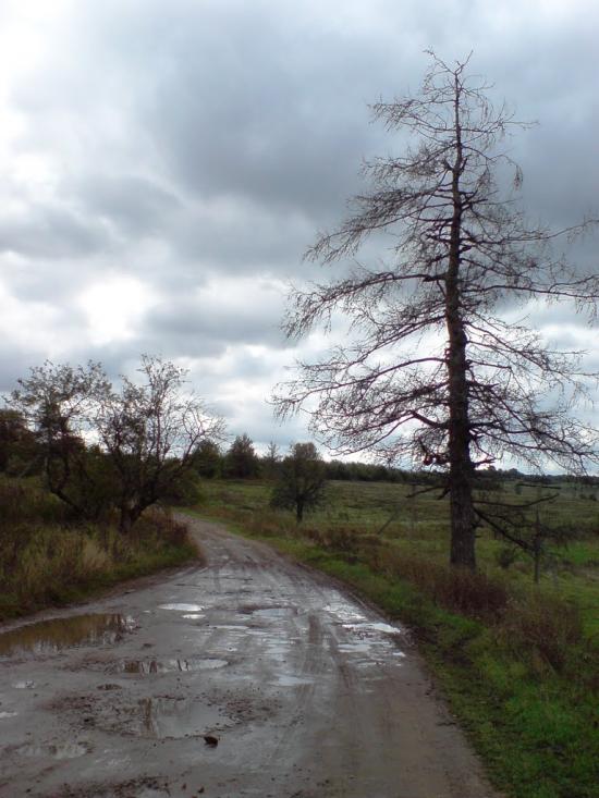 Войнилів з panoramio.com - Voynyliv